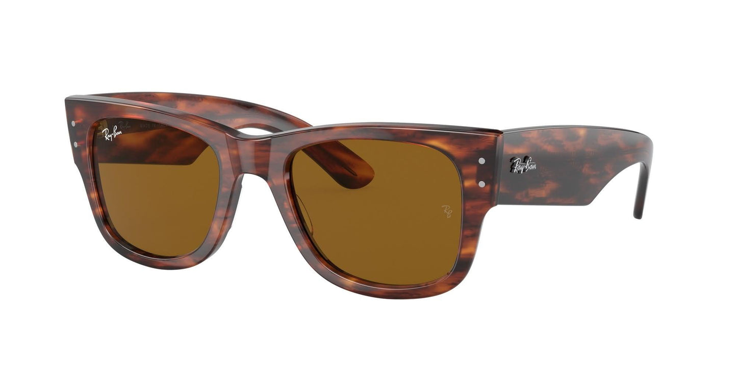 Ray-Ban Mega Wayfarer 0840S