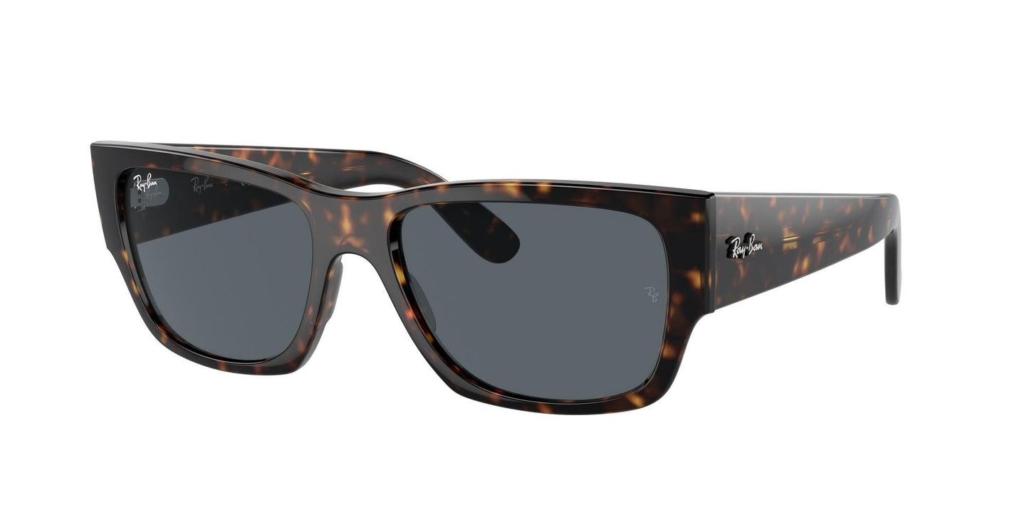 Ray-Ban Carlos 0947S