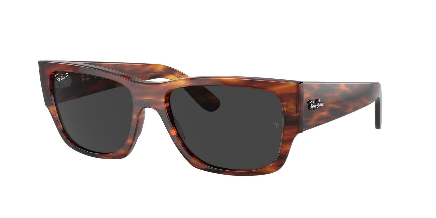 Ray-Ban Carlos 0947S