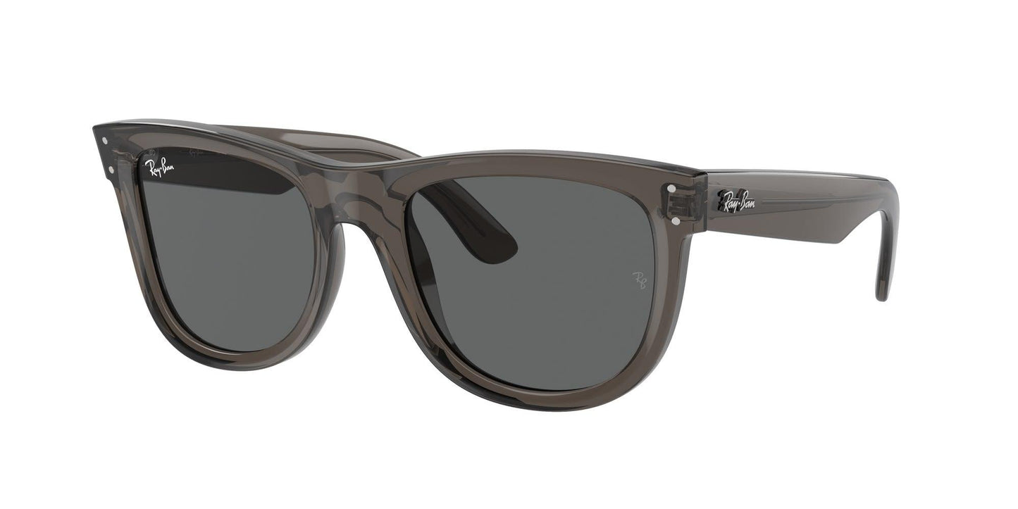 Ray-Ban Wayfarer Reverse R0502S