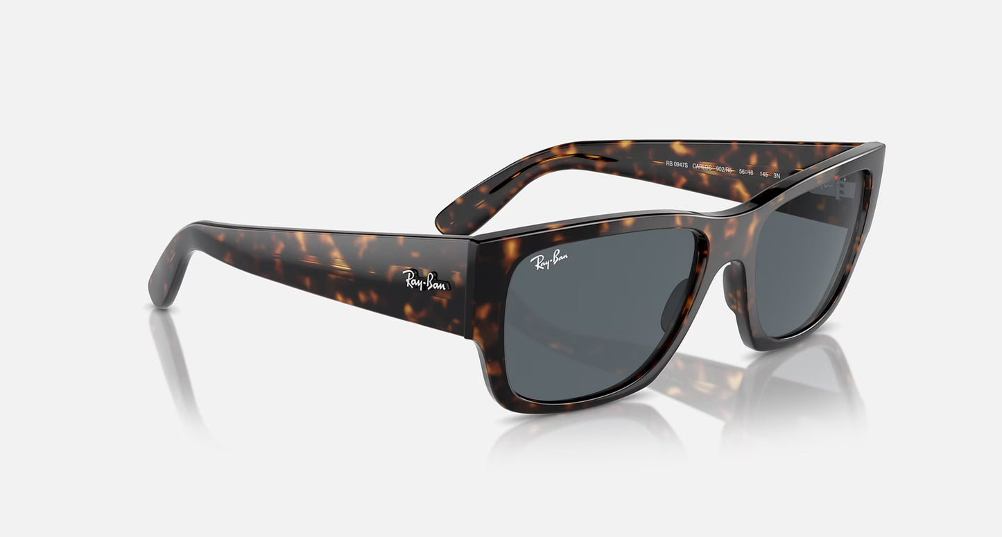 Ray-Ban Carlos 0947S