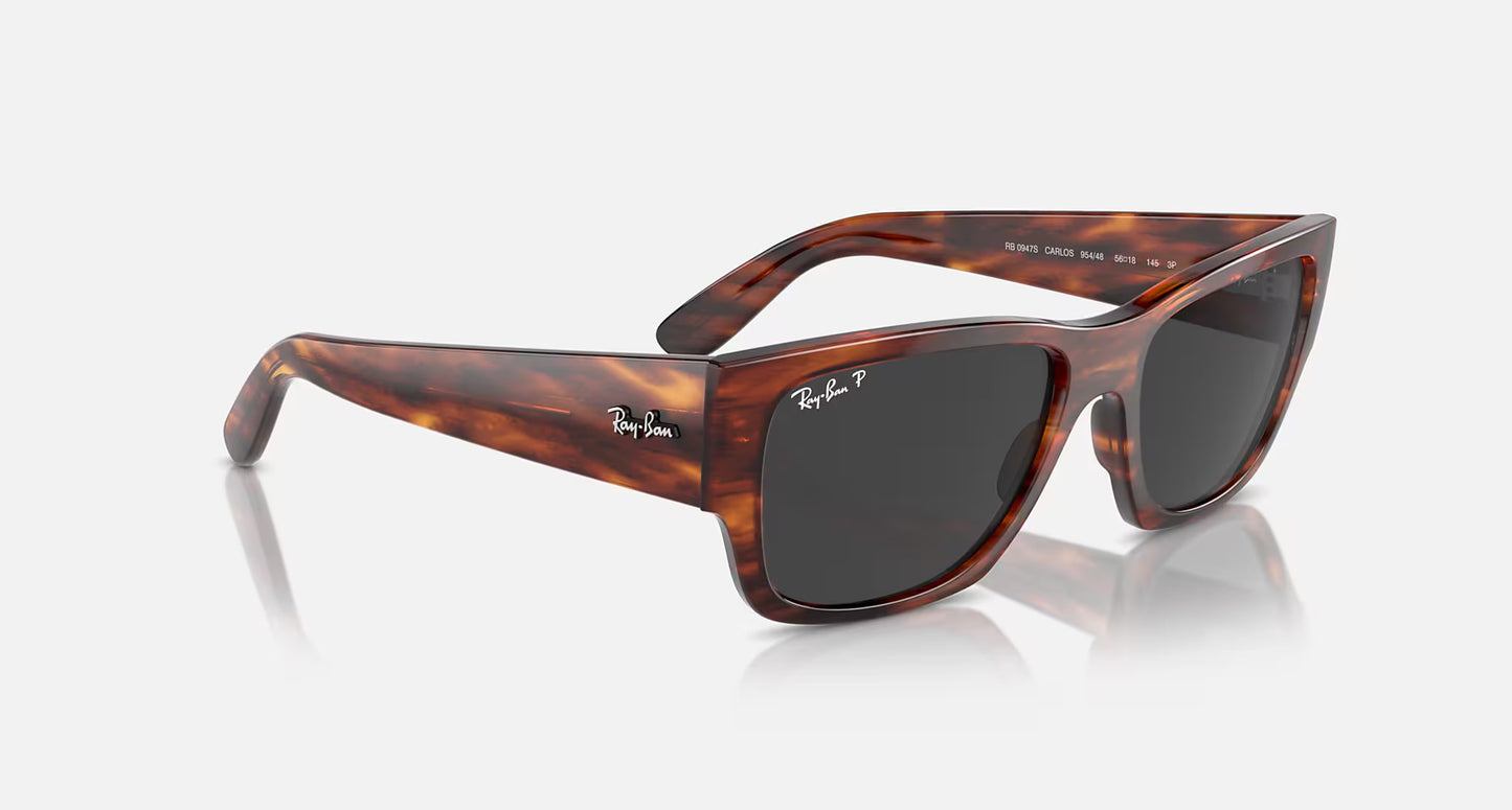 Ray-Ban Carlos 0947S