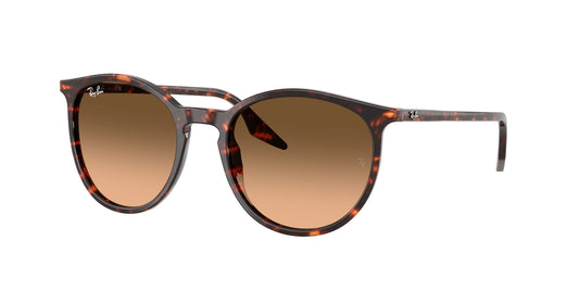 14293B / 54 (L)