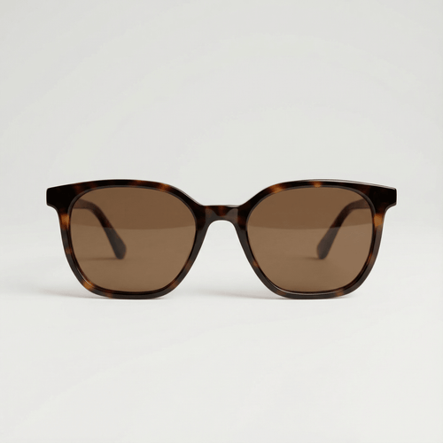Portinax C2 | Marrón — gafas de sol de pasta, vista frontal | Blur Eyeshop